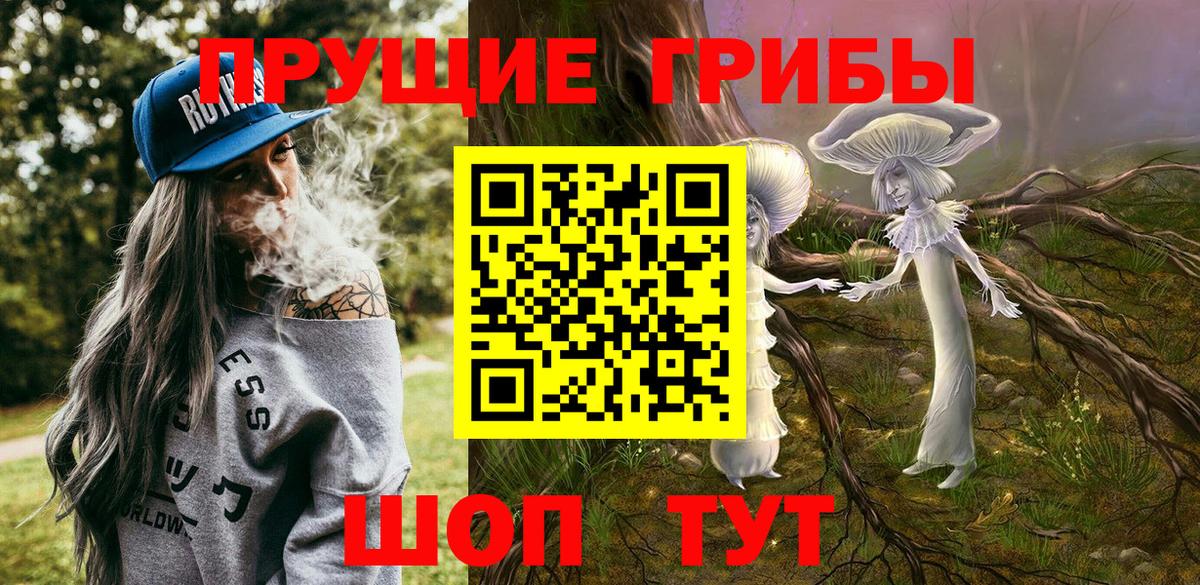 Псилоцибиновые грибы мухоморы  закладка  Мурманск  Вход с VPN  Галлюциногенные грибы мицелий 