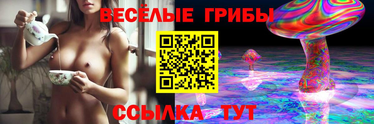 Галлюциногенные грибы Psilocybine cubensis Мурманск